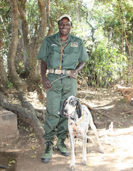 Anti-Poaching and Livestock Theft 4