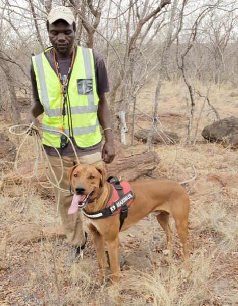 Anti-Poaching and Livestock Theft 5